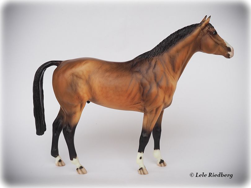 Passport to Model Horse Collecting | BreyerHorseRef